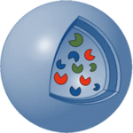 Blaue Kugel mit Einschnitt auf der rechten Seite und grafischer Darstellung von roten, grünen und blauen Enzymen darin.