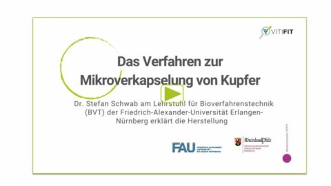 Towards entry "Video on the production of microencapsulated copper salts (CuCaps) as plant protection products for organic viticulture"