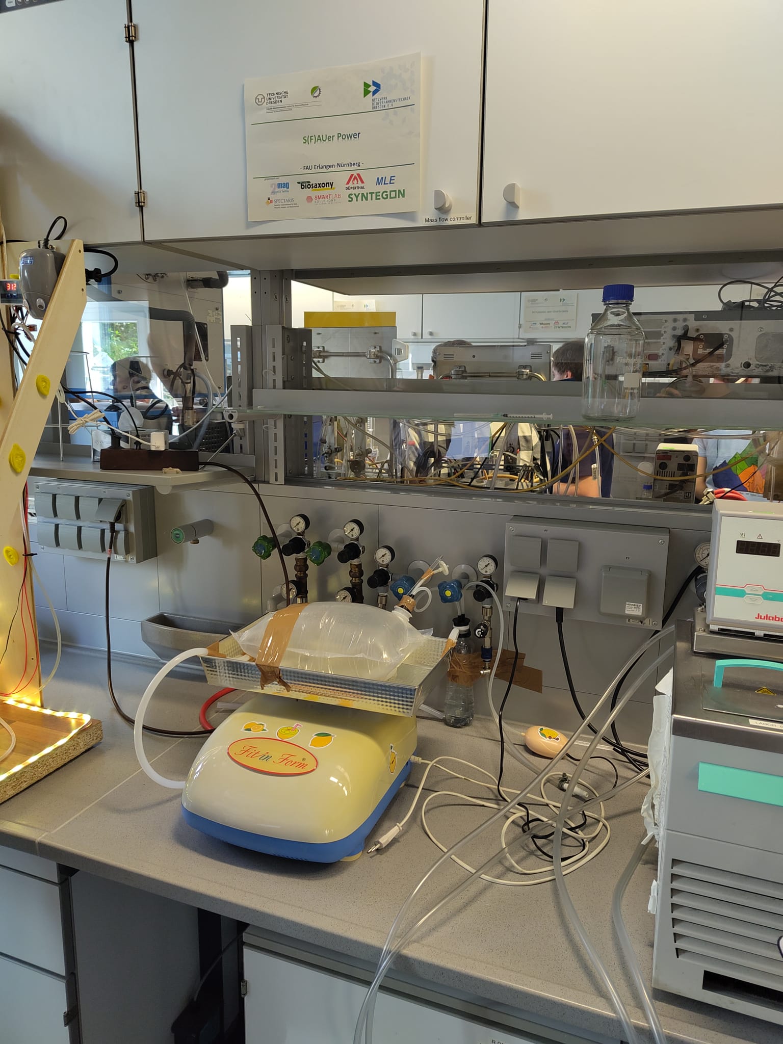 Wave bioreactor for citric acid production