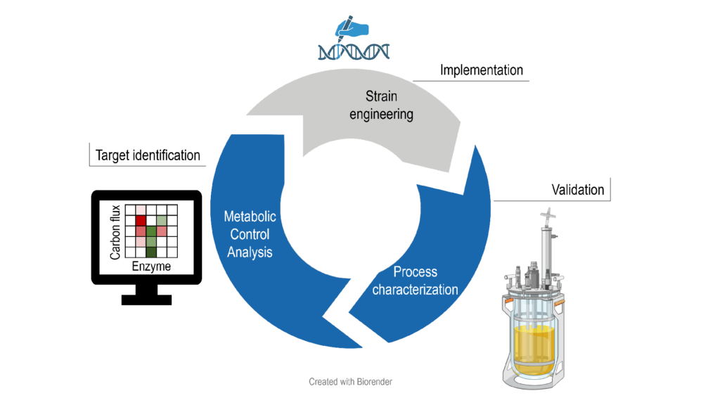 Schematic presentation of the project 