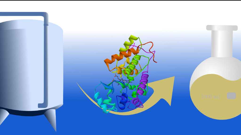 Symbol picture Biocatalysis and fermentation