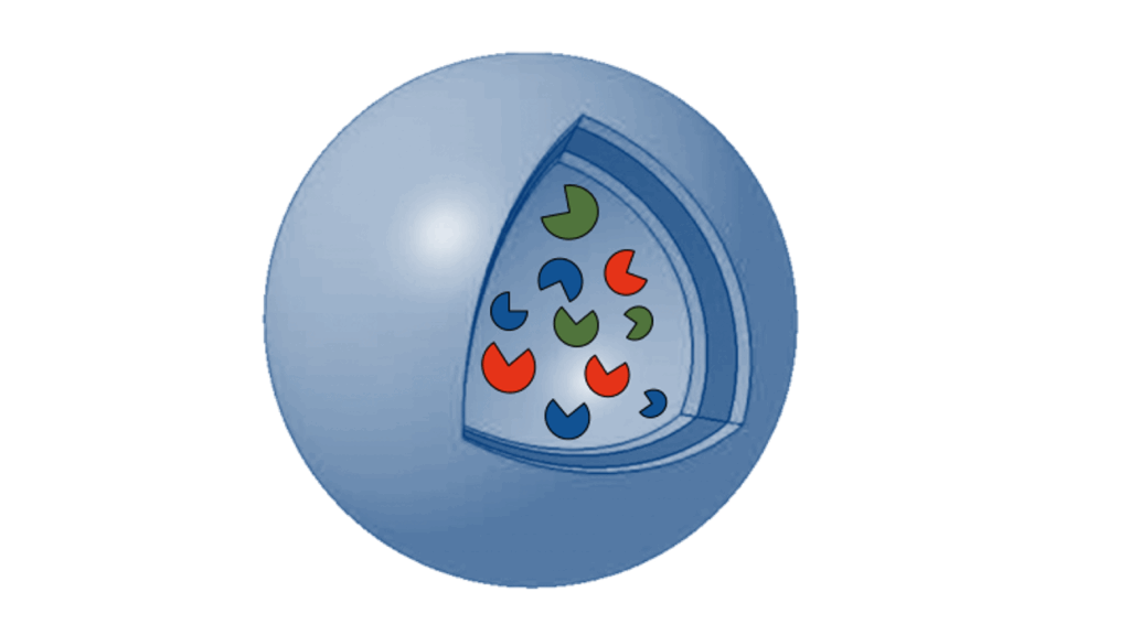Symbol picture of a vesicle - nonbioreactor (sphere) filled with proteins.